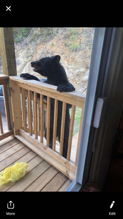 Love Nest Chalet Βίλα Gatlinburg Εξωτερικό φωτογραφία